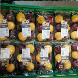Aktuell im Angebot