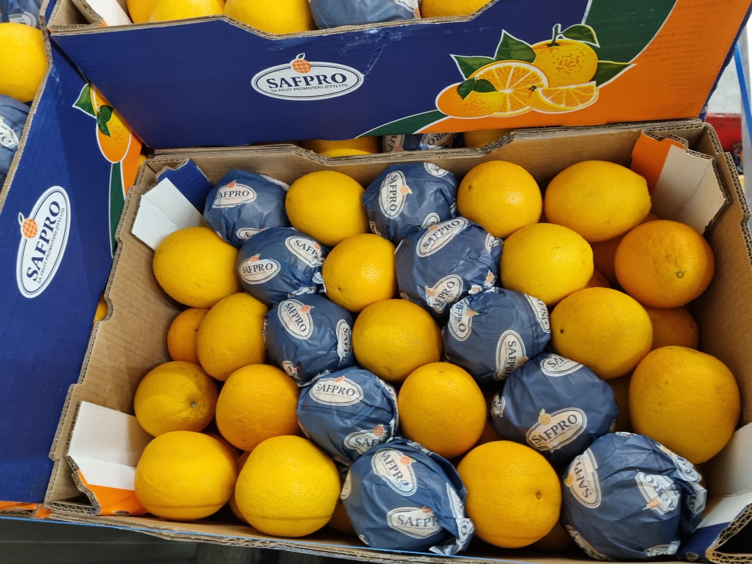 Aktuell im Angebot