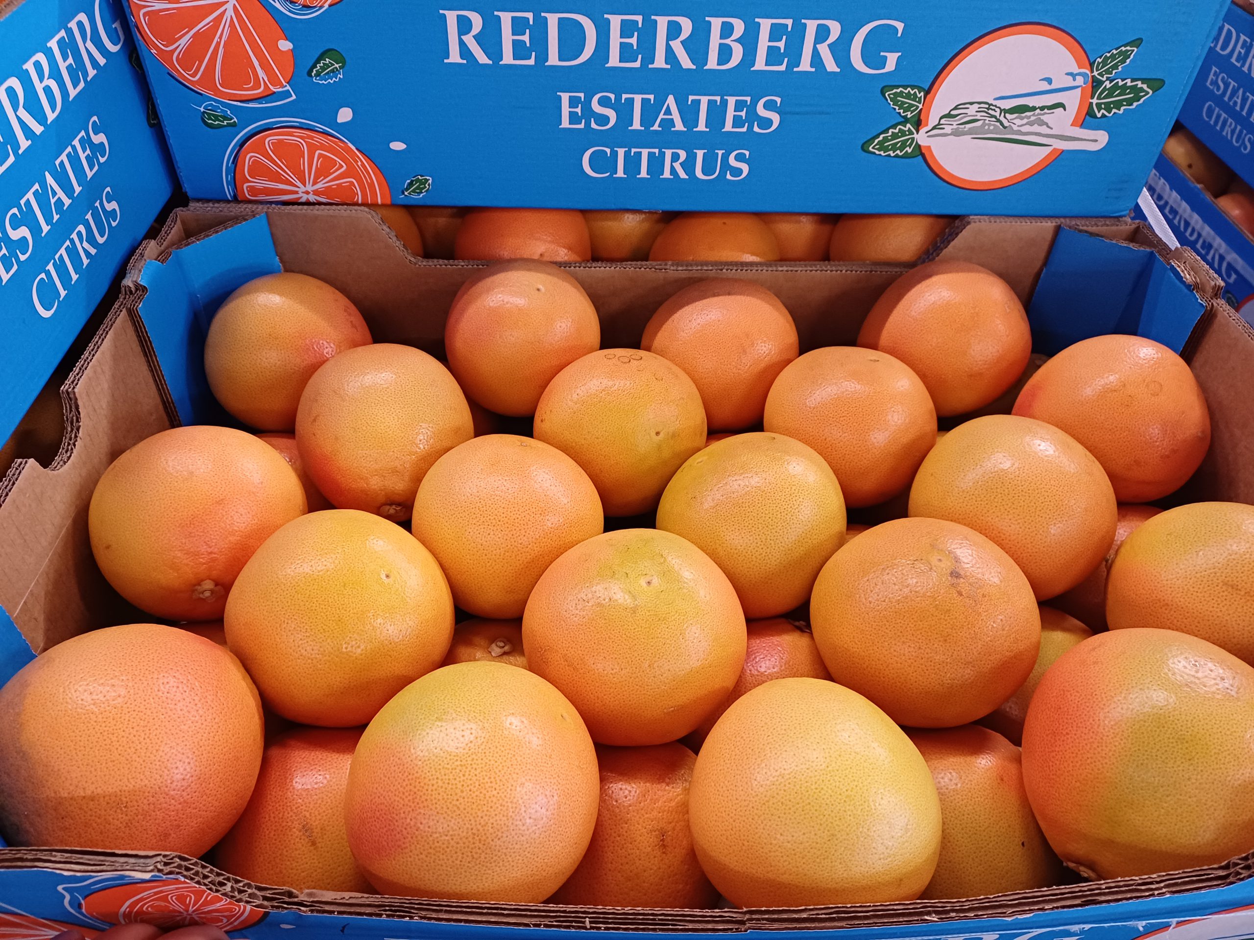 Aktuell im Angebot