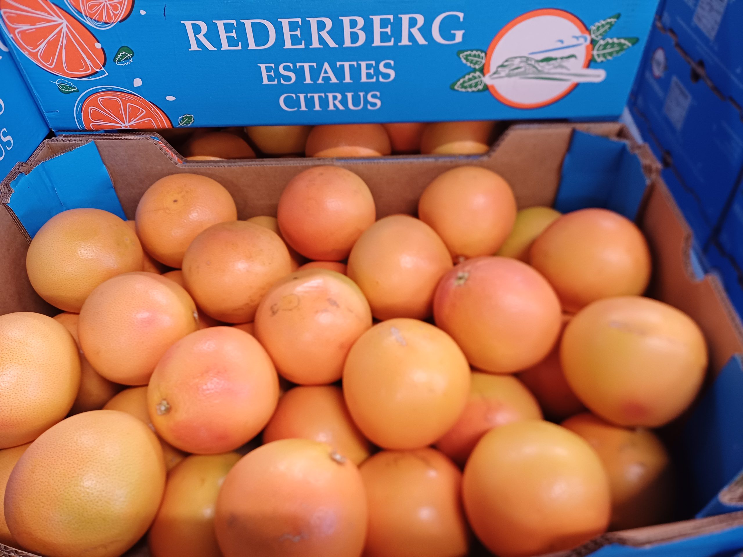 Aktuell im Angebot