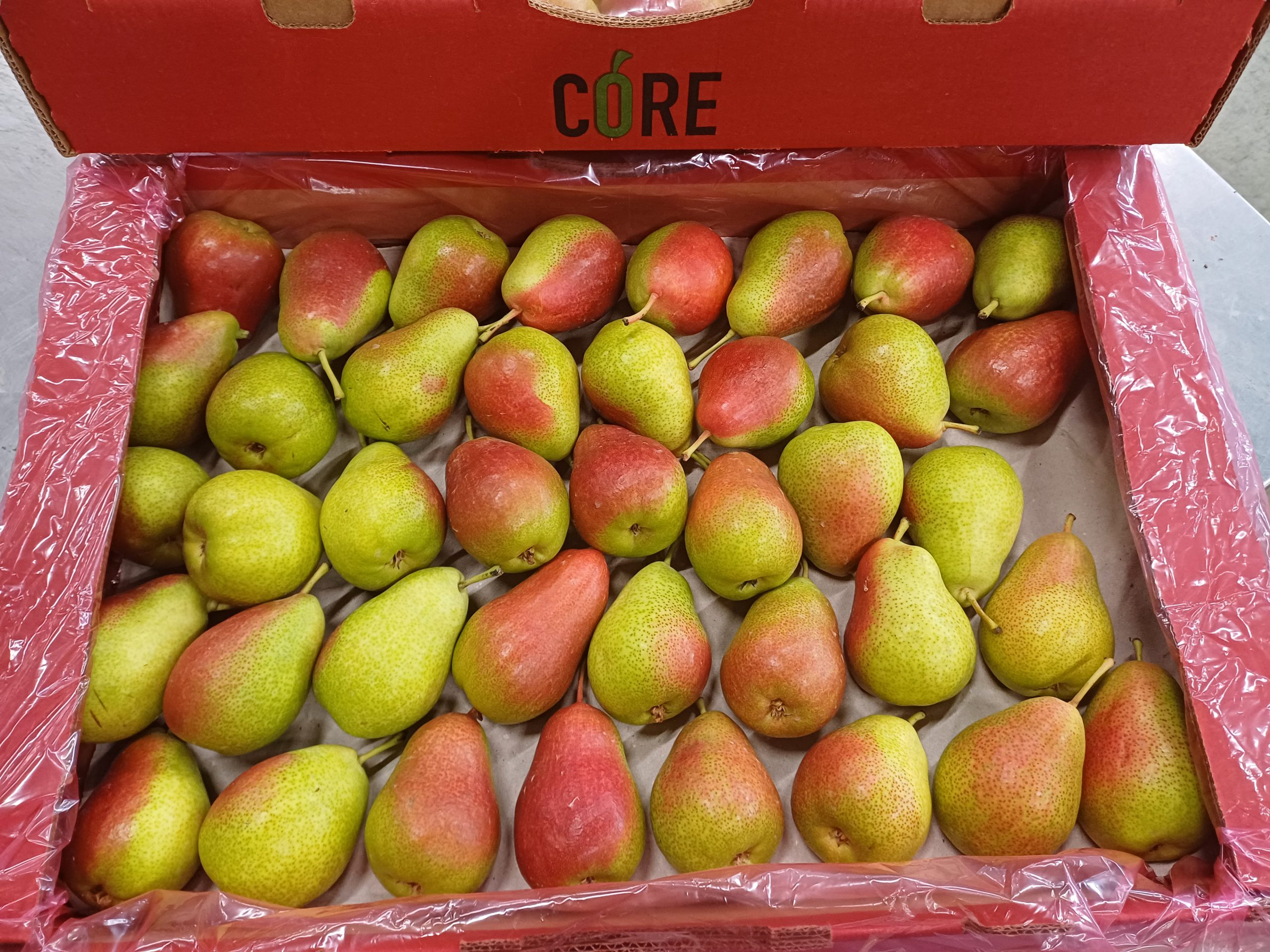 Aktuell im Angebot