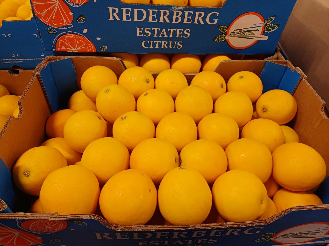 RB Valencias OT