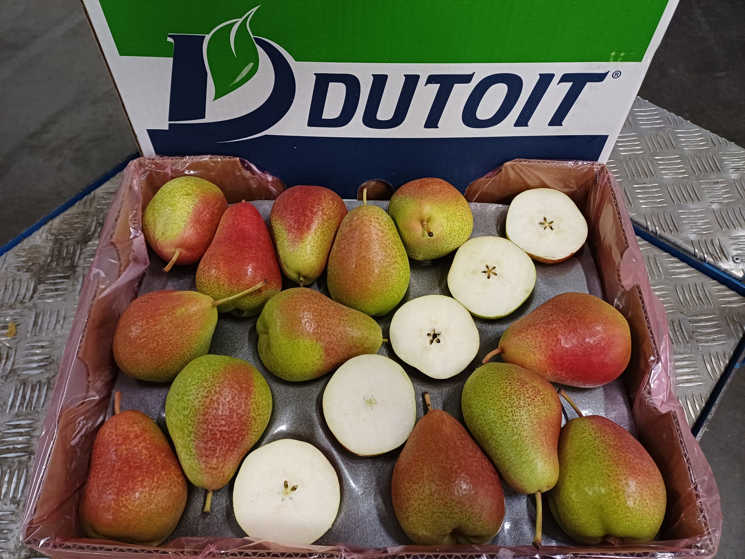Aktuell im Angebot