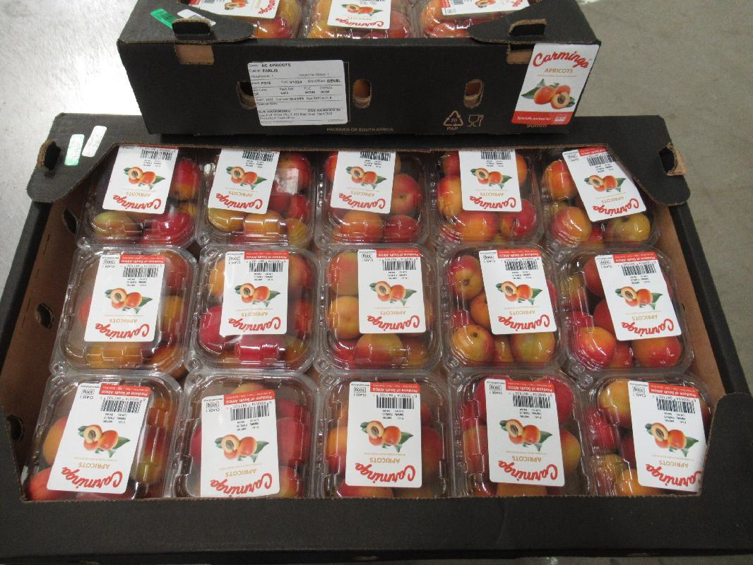 Carmingo Icon Punnets